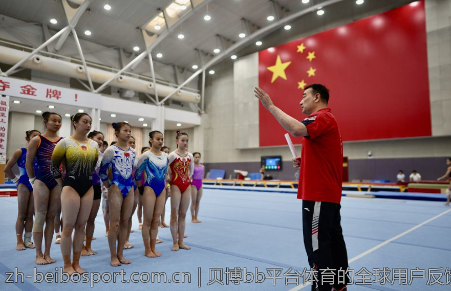贝博bb平台体育的全球用户反馈分析
