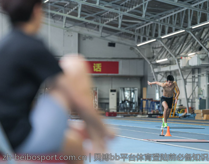 贝博bb平台体育登陆前必备知识与准备事项