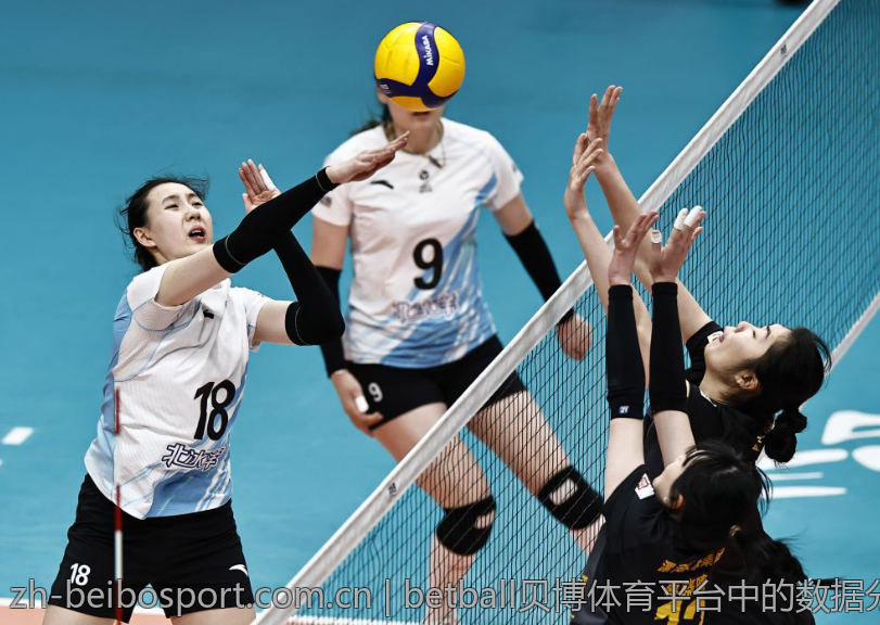 betball贝博体育平台中的数据分析工具实用性