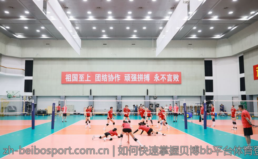 如何快速掌握贝博bb平台体育登陆的窍门