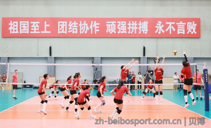 贝博bb平台体育app的安全性和信任度分析