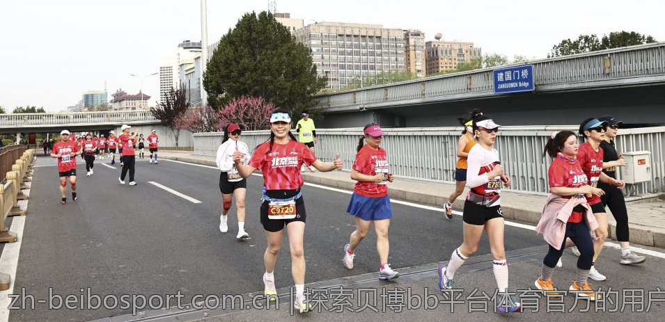 探索贝博bb平台体育官方的用户体验